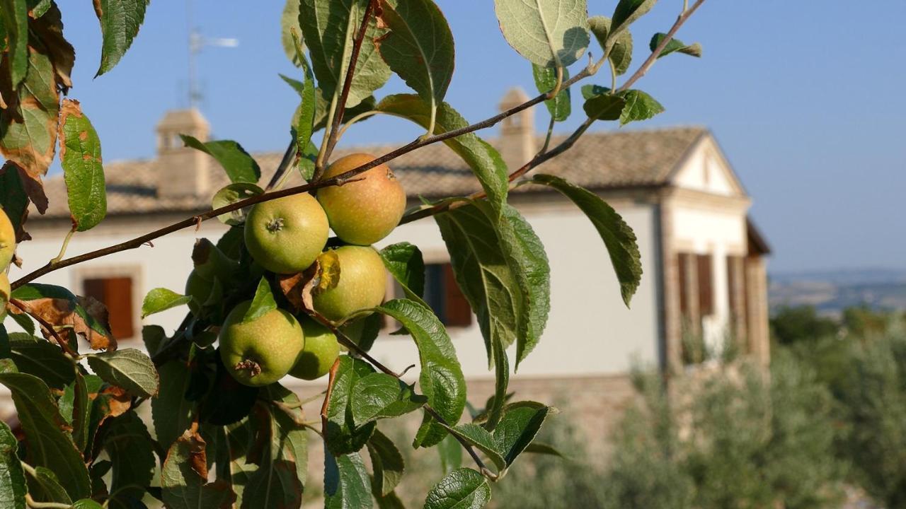 Residence Colle Veroni Mosciano Sant'Angelo Luaran gambar